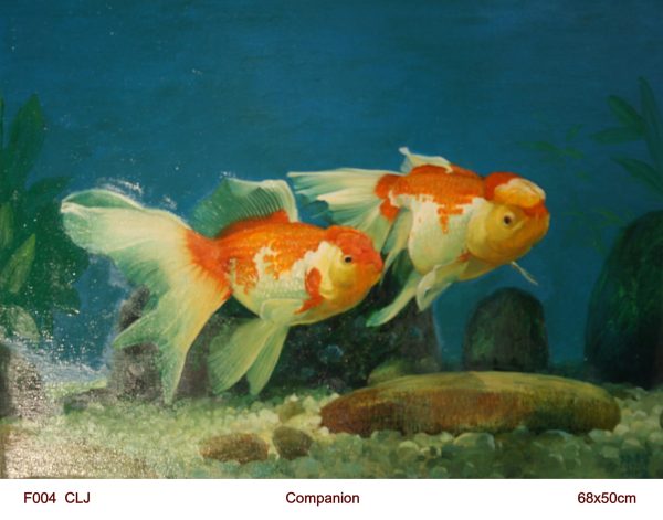 CLJ_F004_C_Companion_伴侣_$2200_68x50cm_Oil on canvas CLJ_F004_C_Companion_伴侣_$2200_68x50cm_Oil on canvas