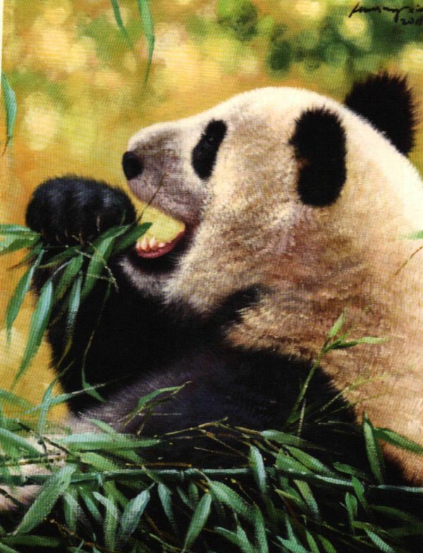 HXW_Pa35_C_Yummy_美味_60x50cm_$1800_Oil on canvas