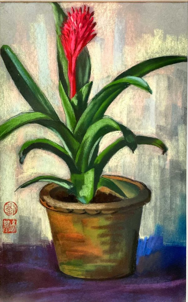 LPJ_SL011_S_Flower in the Pot_盆花_50x33cm_$800_Pestel on paper