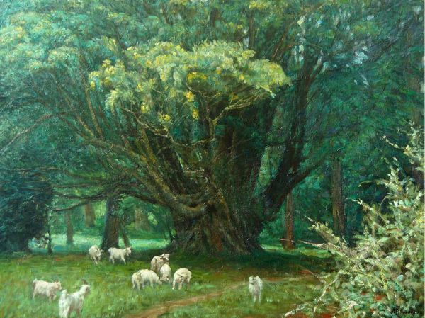 GYM_A021_C_Sheep under tree_大树下羊群_$5200_62x81cm_Oil on canvas