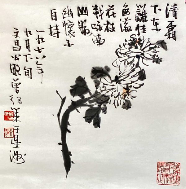 ZJC_CFA007_S_Chrysanthemum_墨菊_35x35cm_$1200_Chinese ink on rice paper